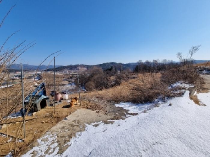 물건 사진 11