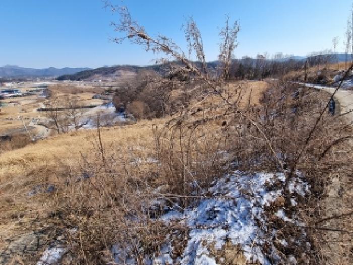 물건 사진 13
