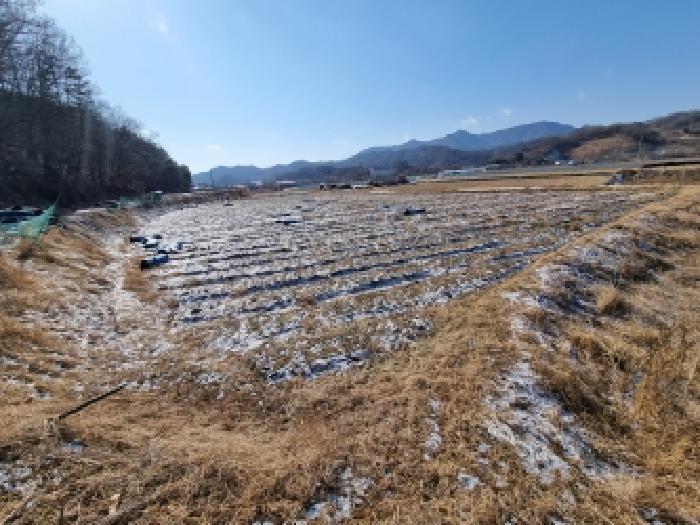 물건 사진 19