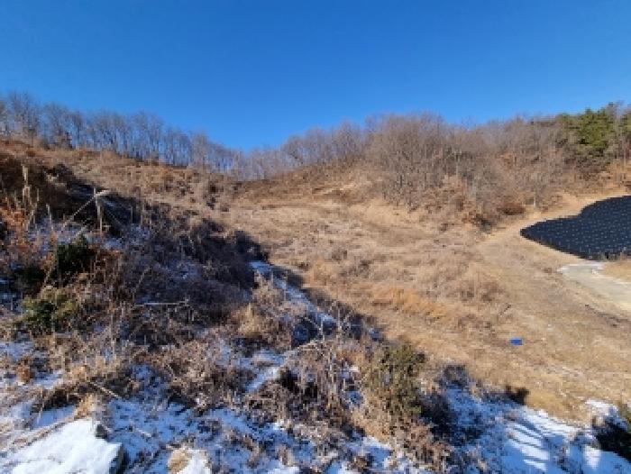 물건 사진 28