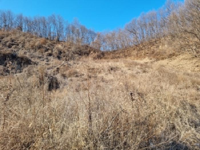 물건 사진 29