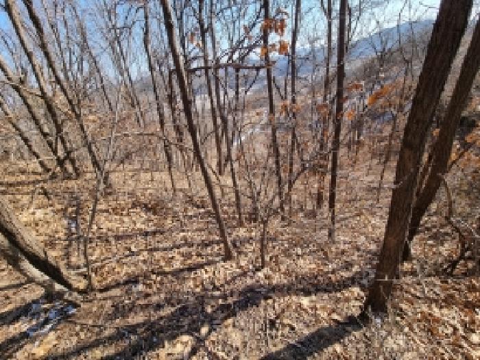 물건 사진 38
