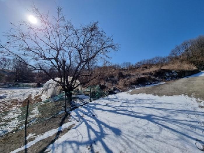 물건 사진 40