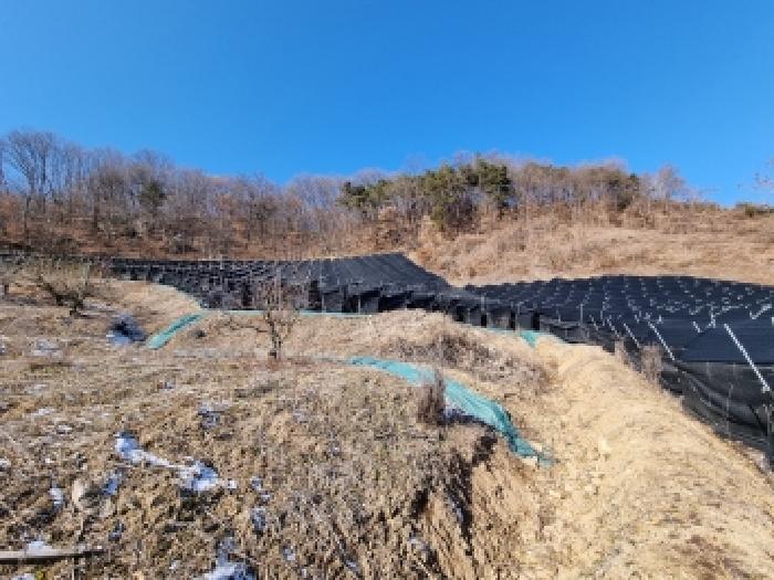물건 사진 52