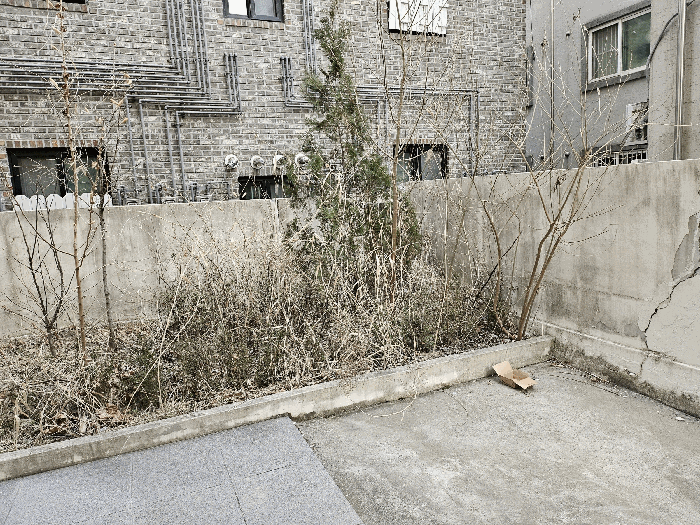 물건 사진 80