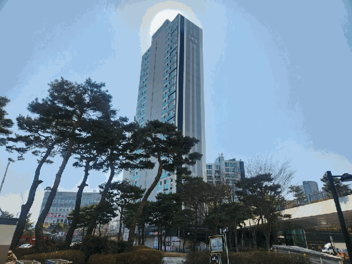 물건 사진 6