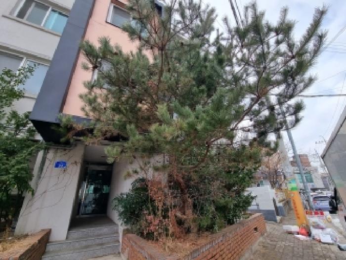 물건 사진 7
