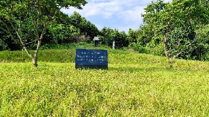 물건 사진 15