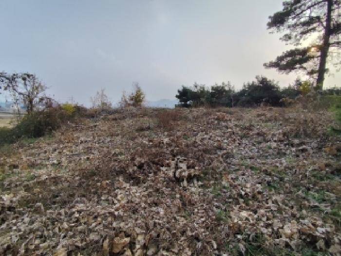 물건 사진 12