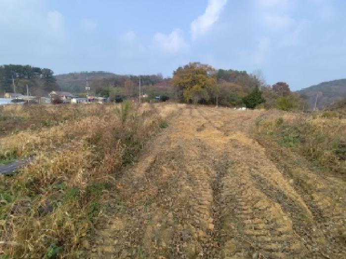 물건 사진 13