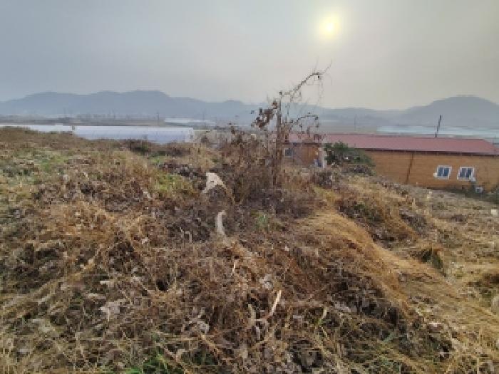 물건 사진 14