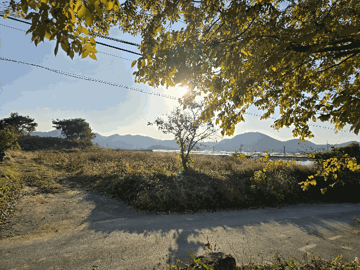 물건 사진 25