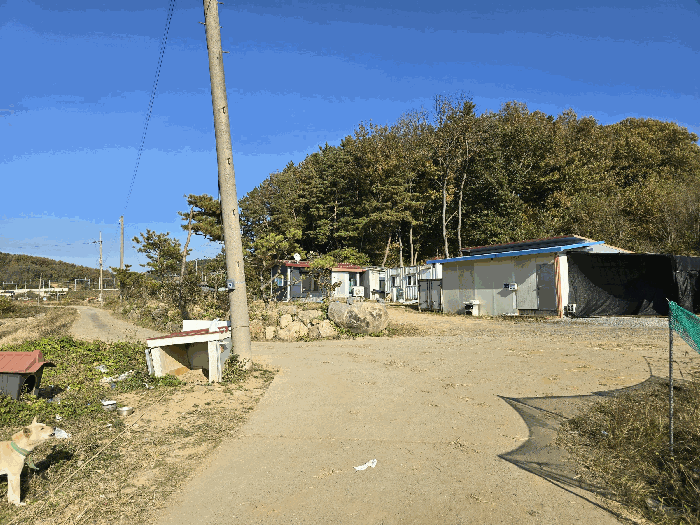 물건 사진 38