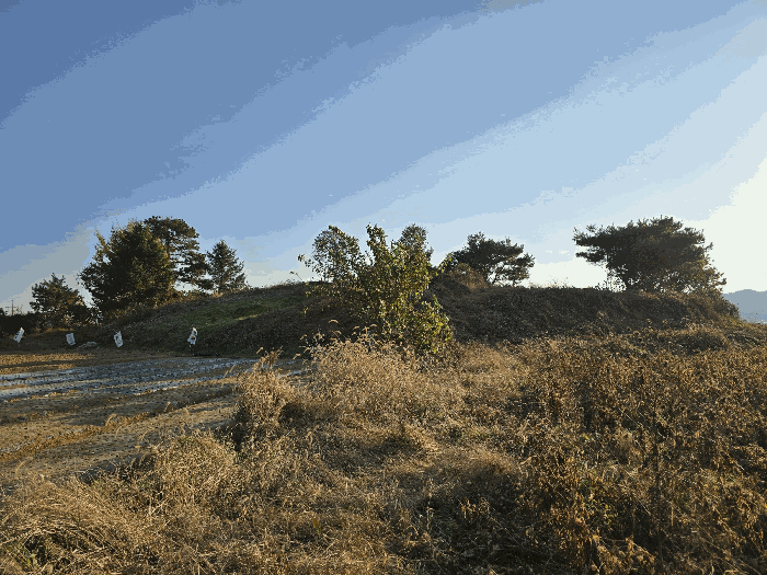 물건 사진 45