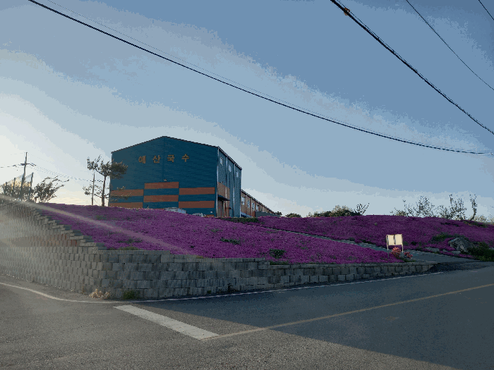 물건 사진 25