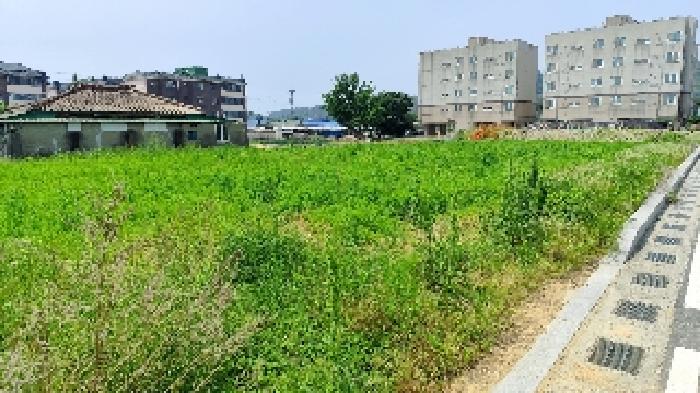 물건 사진 6