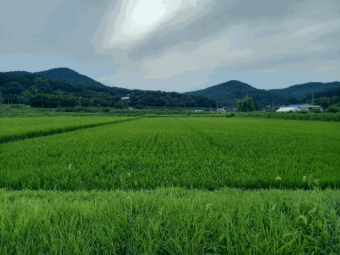 물건 사진 12