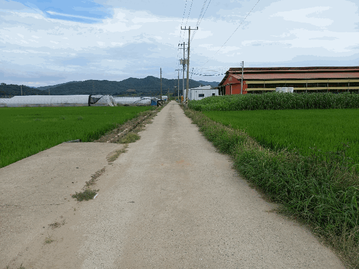 물건 사진 15