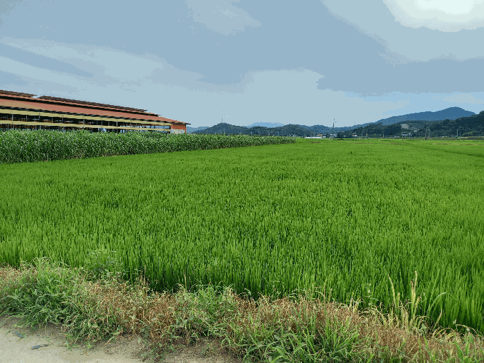 물건 사진 18