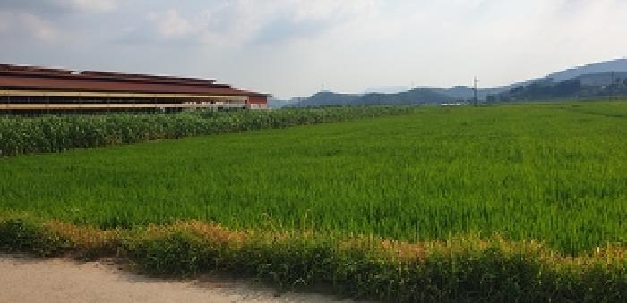 물건 사진 8