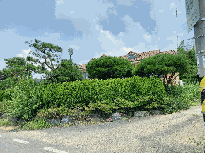 물건 사진 17