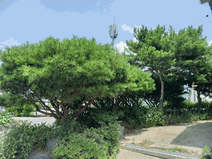 물건 사진 20