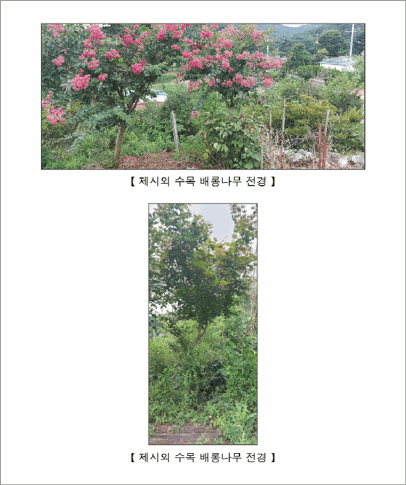 물건 사진 14