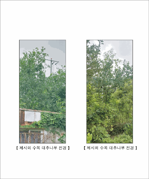 물건 사진 16