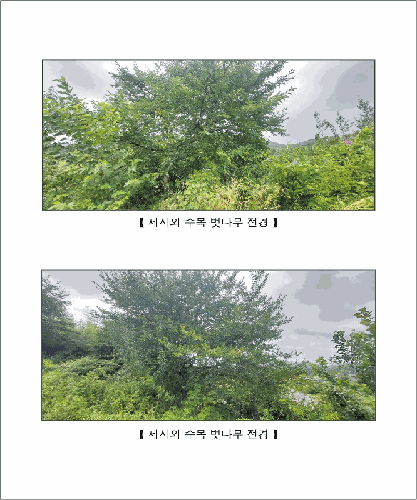물건 사진 21