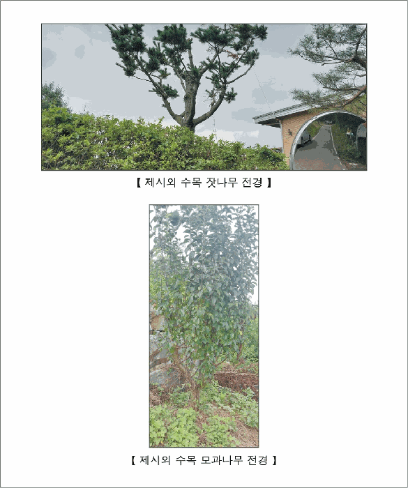 물건 사진 22