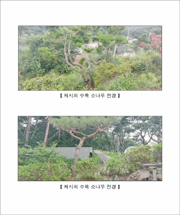 물건 사진 23