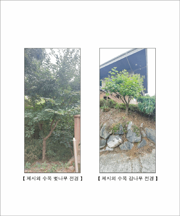 물건 사진 32