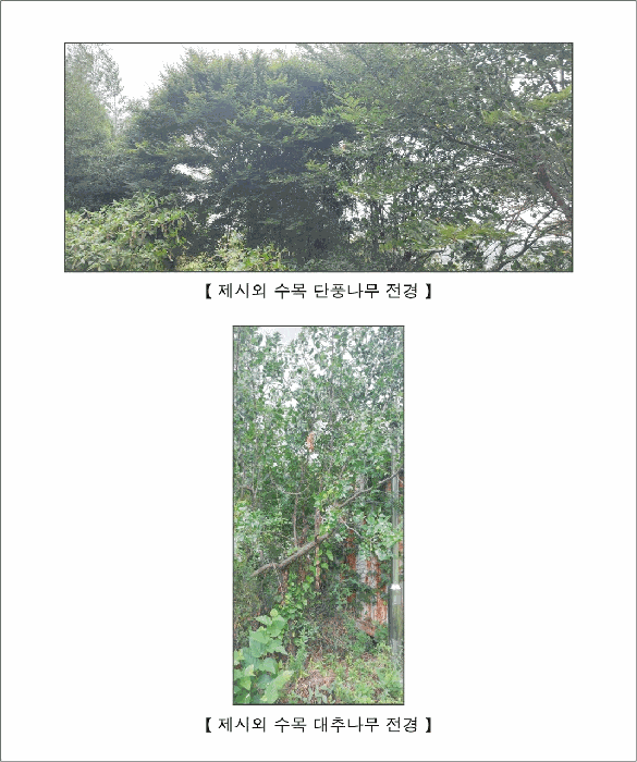물건 사진 33