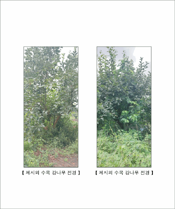 물건 사진 34