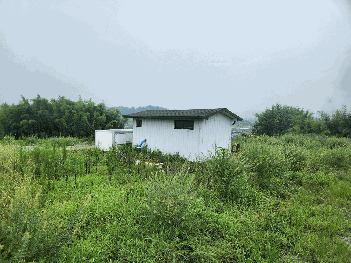 물건 사진 17