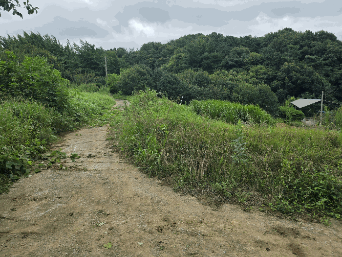 물건 사진 19