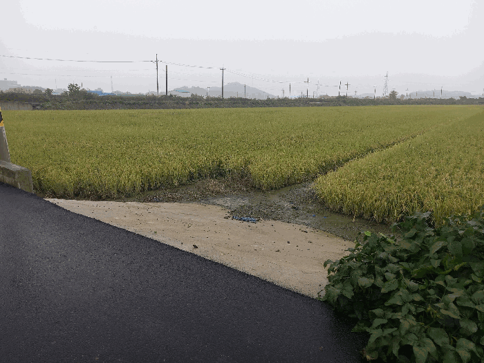 물건 사진 12