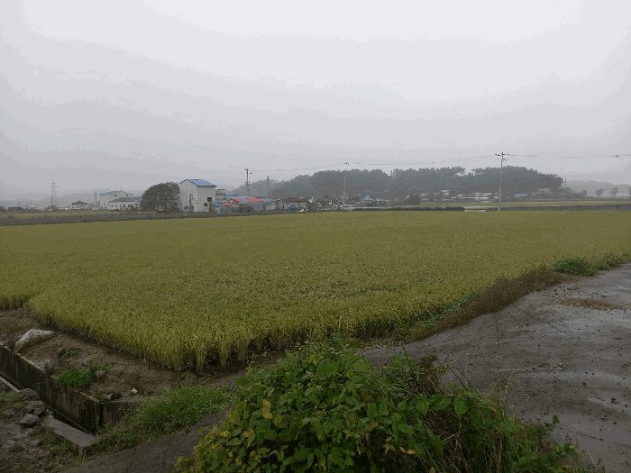 물건 사진 9