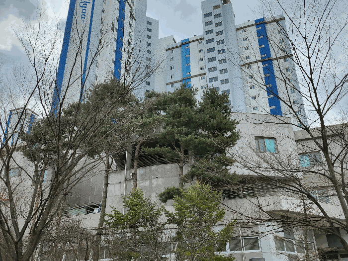 물건 사진 6