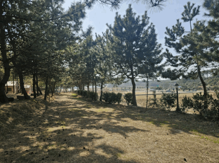 물건 사진 7