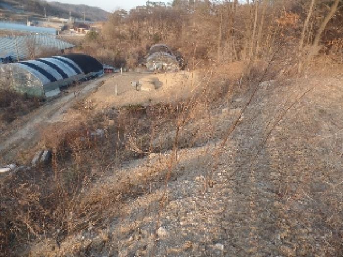 물건 사진 21