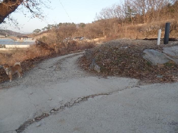 물건 사진 32