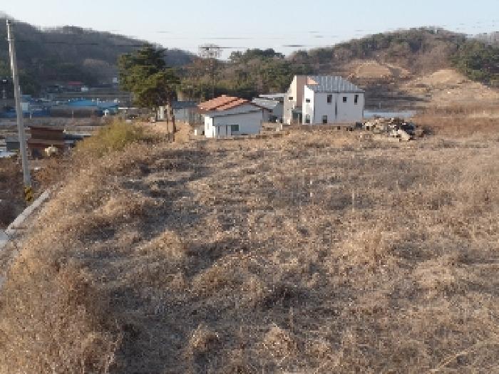 물건 사진 35