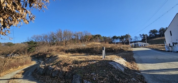 물건 사진 42