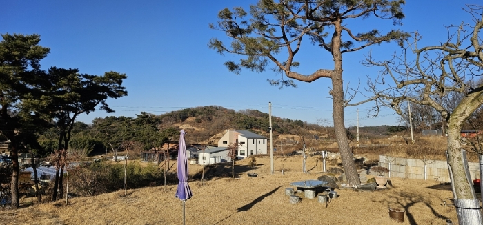 물건 사진 49