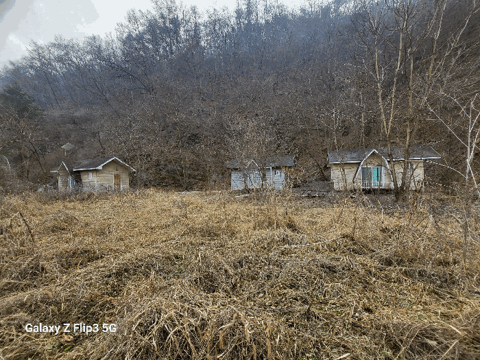 물건 사진 65