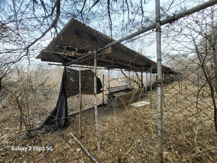 물건 사진 68
