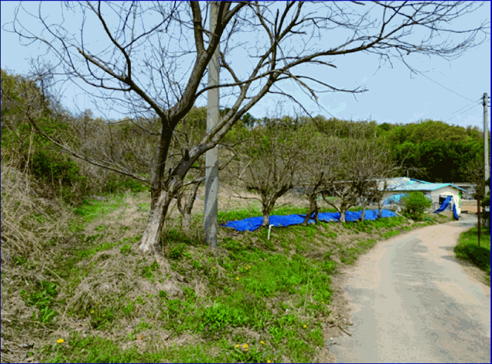 물건 사진 24