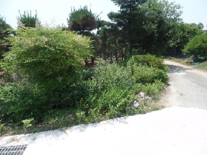 물건 사진 4