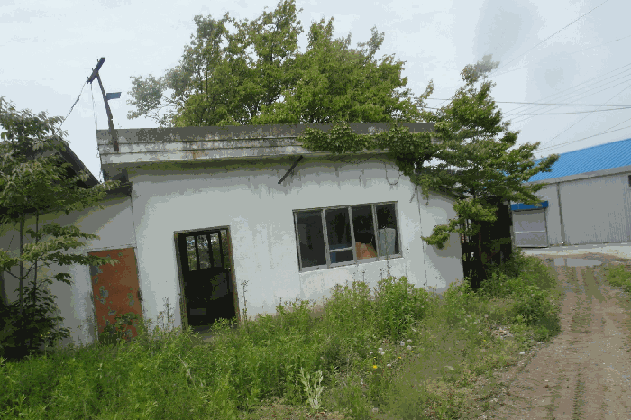 물건 사진 12